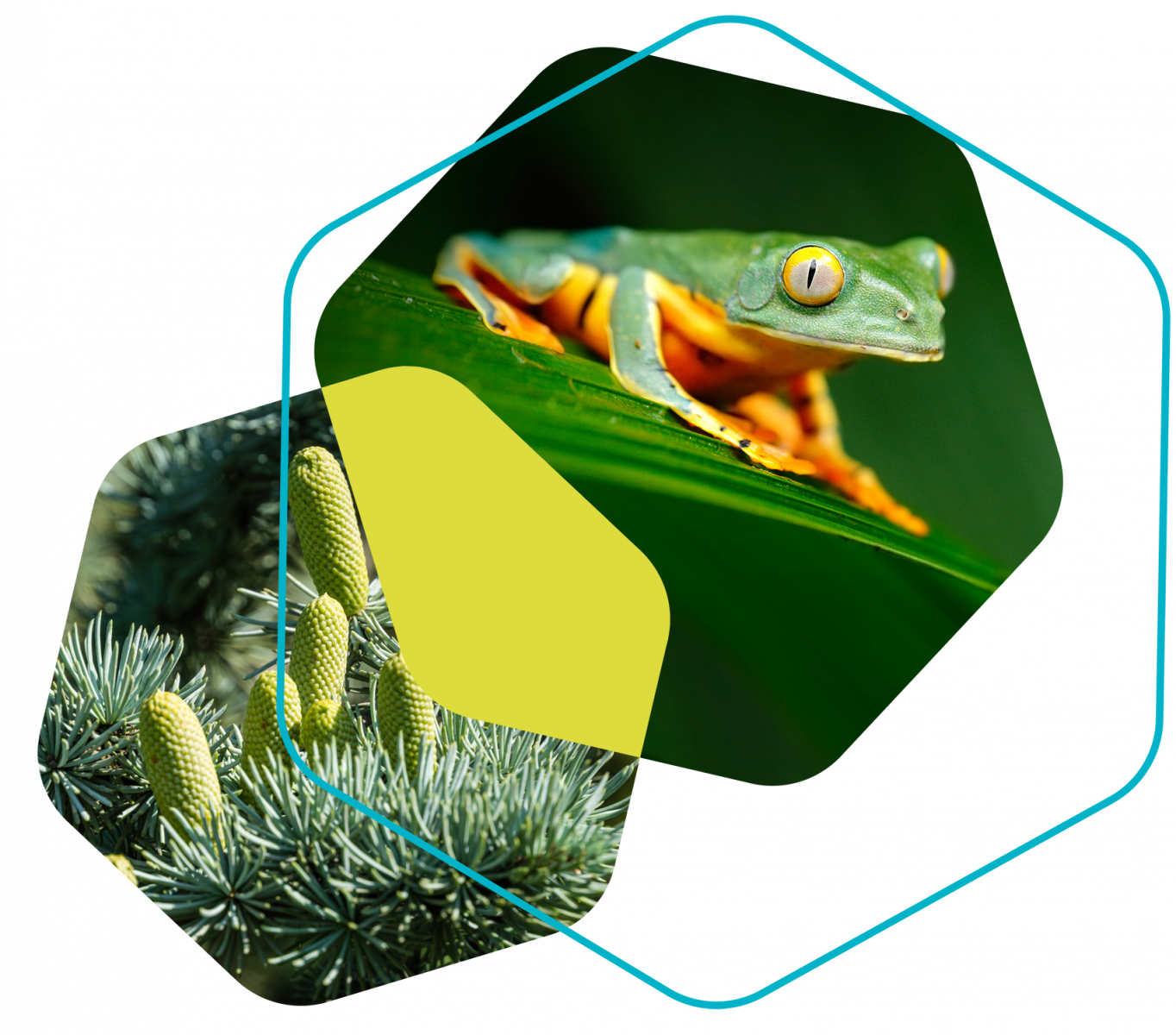 design-camadas-V4